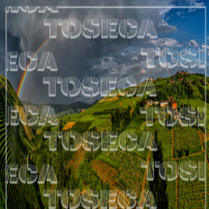 Barbaresco e Treiso 2