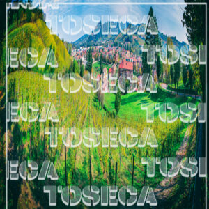 Canelli 3