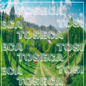 Barbaresco 6