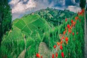 Fine art prints
